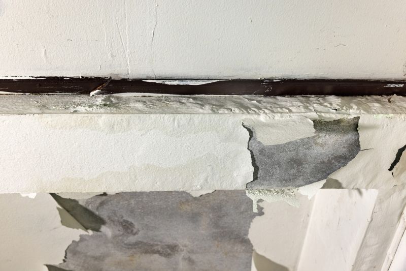 Stipple Ceiling Repair