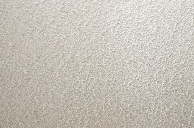 Stipple Ceiling Repair