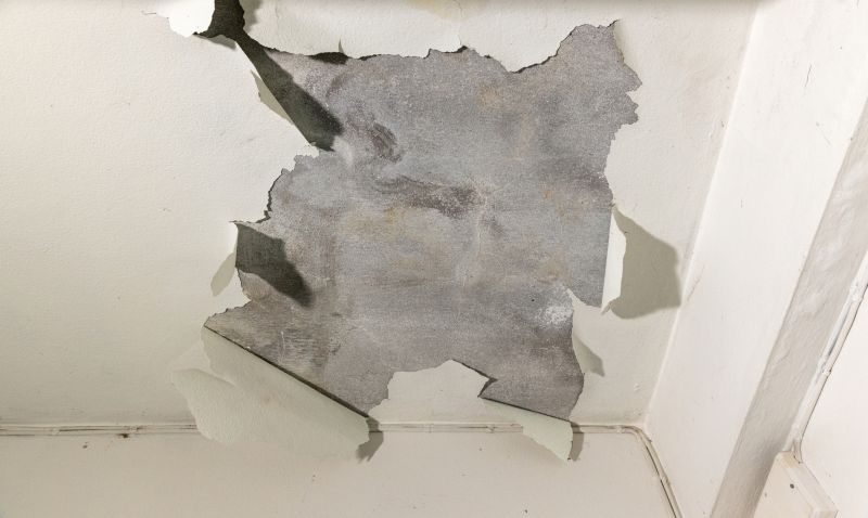 Stipple Ceiling Repair