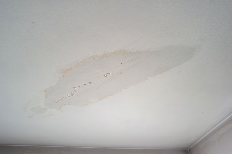 Stipple Ceiling Repair