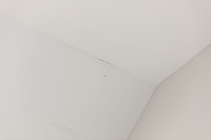 Stipple Ceiling Repair