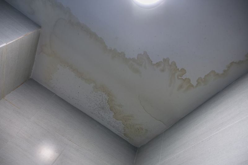 Damaged Stipple Ceiling